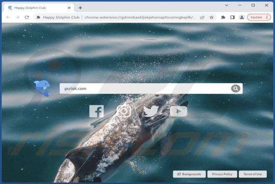 Happy Dolphin Club Browser Hijacker