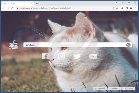 Cat Tab HD Browser Hijacker