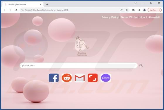 Blushingfashionista Browser Hijacker
