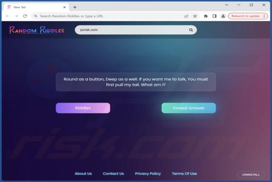 Random Riddles Browser Hijacker
