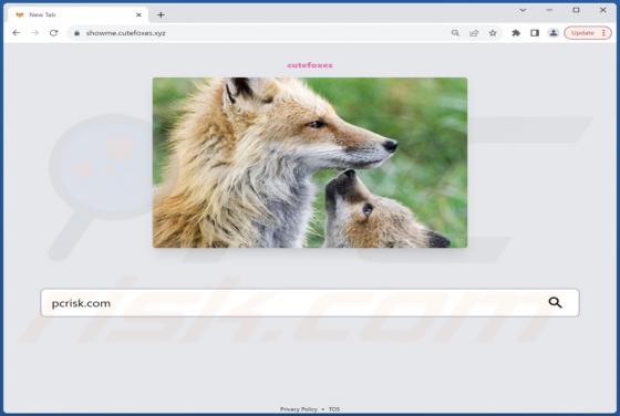 Cute Foxes Browser Hijacker