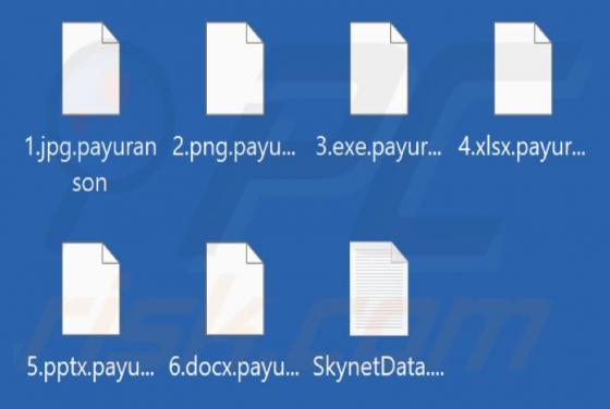 Payuranson Ransomware