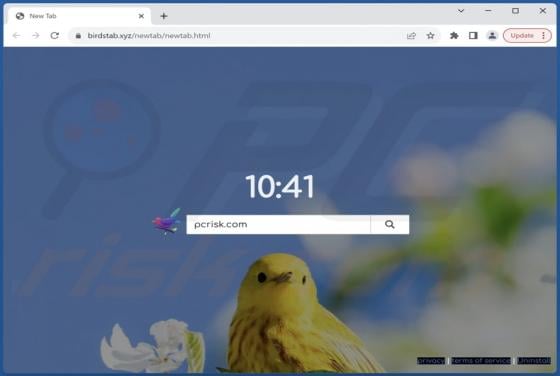 Birds Background Browser Hijacker