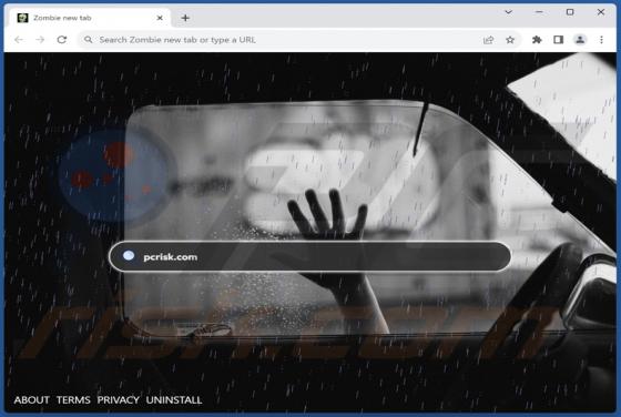 Zombie New Tab Browser Hijacker