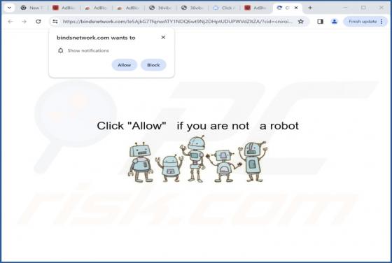 Bindsnetwork.com Ads