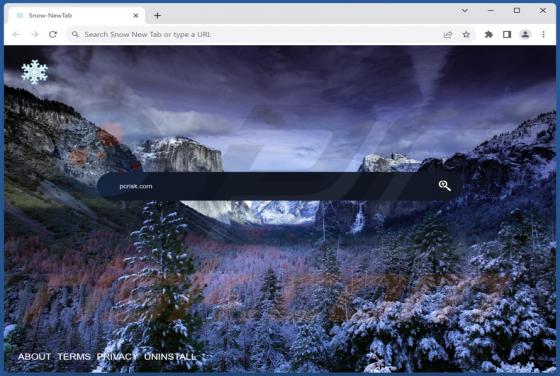 Snow New Tab Browser Hijacker