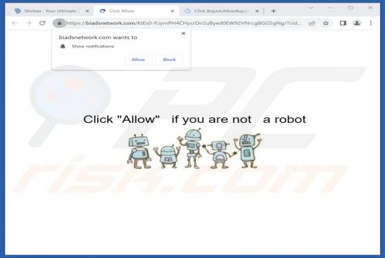 Biadsnetwork.com Ads