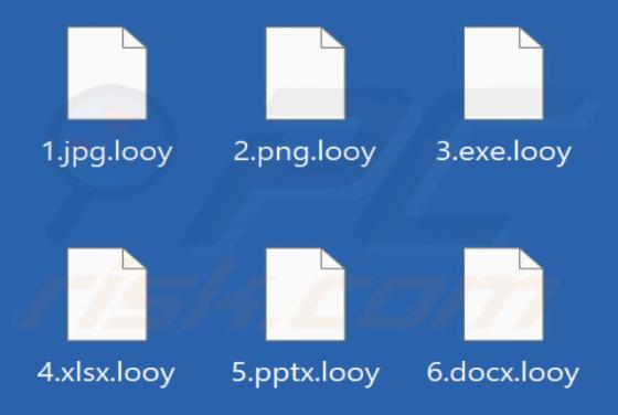 Looy Ransomware