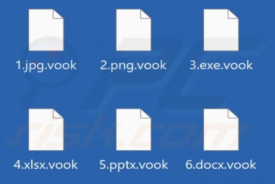 Vook Ransomware