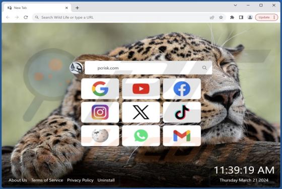 Wild Life Browser Hijacker