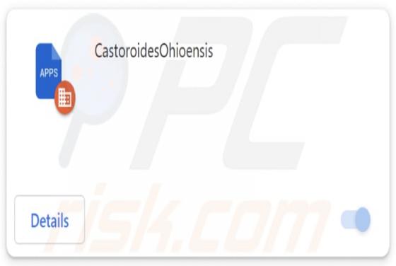 CastoroidesOhioensis Malicious Extension