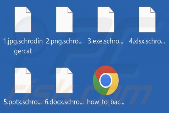 SchrodingerCat Ransomware