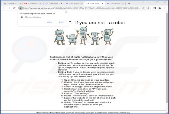Recusemartpreview.com Ads