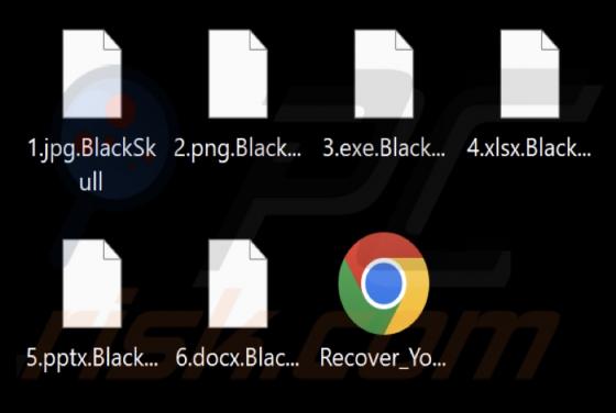 BlackSkull Ransomware