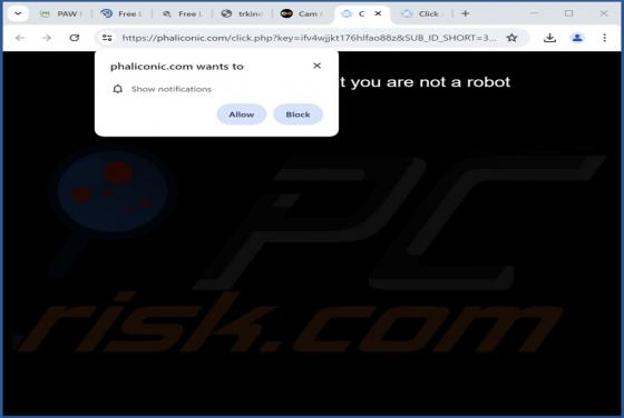 Phaliconic.com Ads