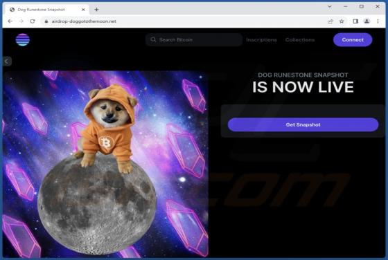 Dog RuneStone Airdrop Scam