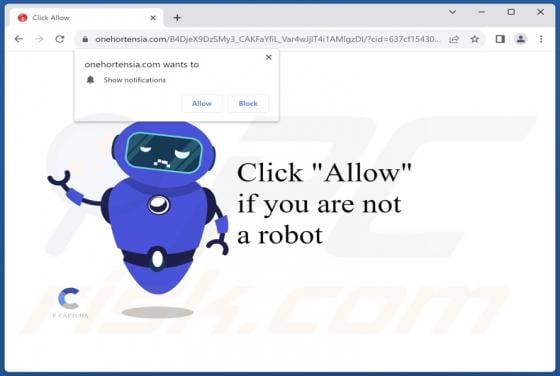 Onehortensia.com Ads