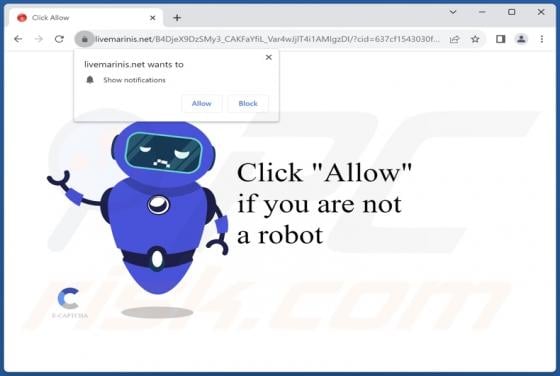 Livemarinis.net Ads