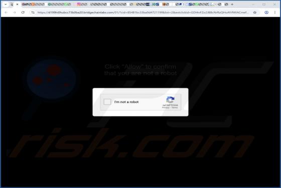 Bridgechainlabs.com Ads