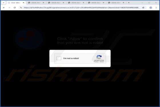 Signalreconnect.co.in Ads