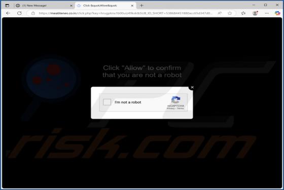 Meatitenes.co.in Ads