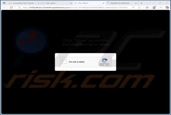 Rapidnetmove.co.in Ads