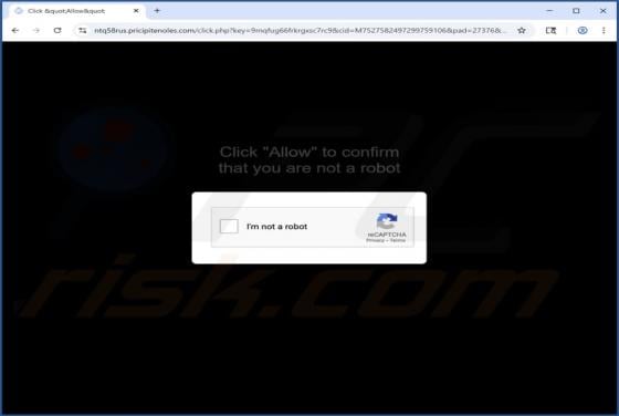 Pricipitenoles.com Ads