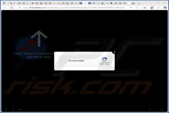 Forbradidot.co.in Ads