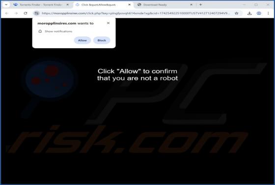 Moropplinsires.com Ads