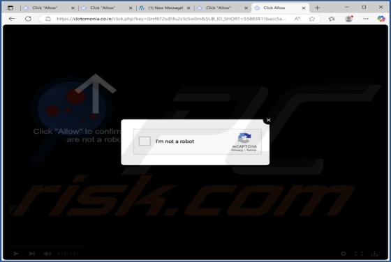 Clotomonia.co.in Ads