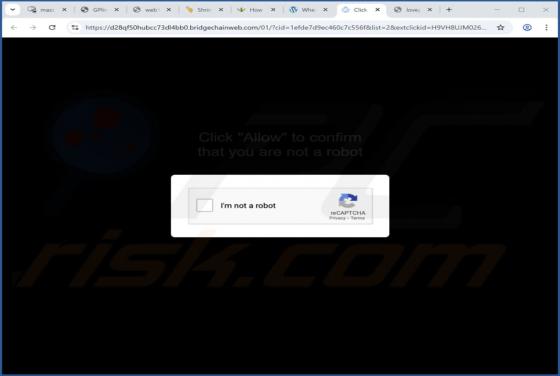 Bridgechainweb.com Ads