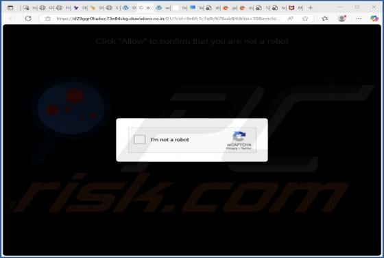Dravixloro.co.in Ads