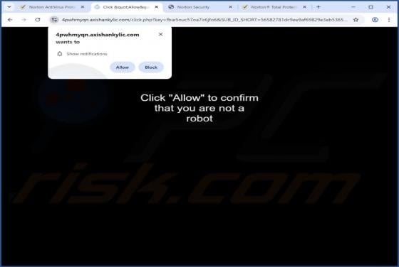 Axishankylic.com Ads