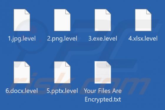 Level Ransomware