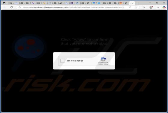 Clonexvoro.co.in Ads