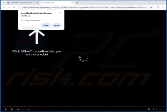 Sephicatielly.com Ads