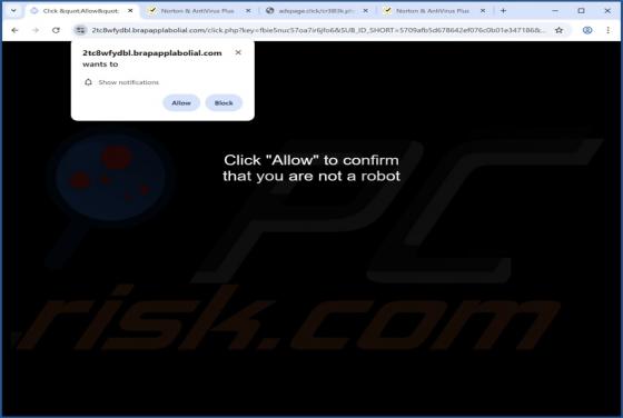 Brapapplabolial.com Ads