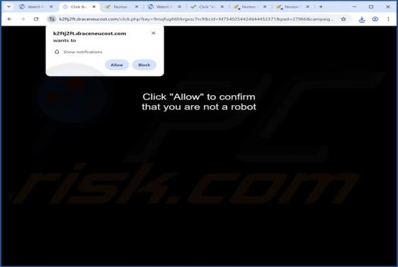 Draceneucost.com Ads