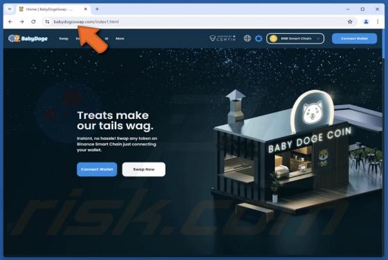 Fake BabyDoge Website Scam