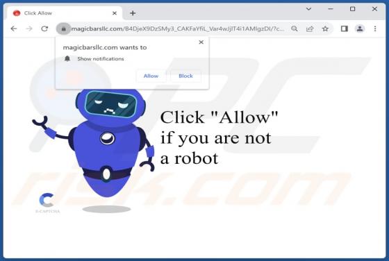 Magicbarsllc.com Ads
