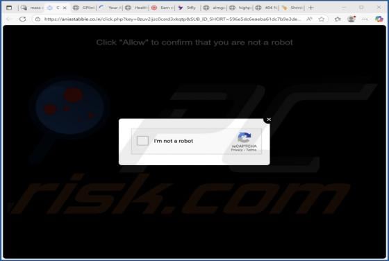 Aniastabble.co.in Ads