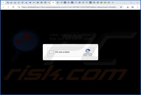Blockspanlink.com Ads
