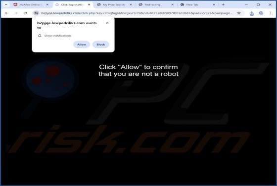 Lowpedriliks.com Ads