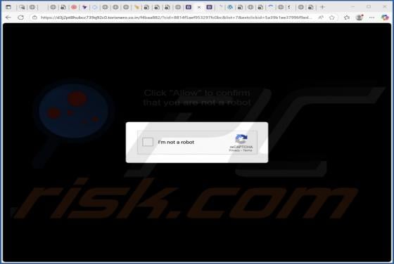 Torixnero.co.in Ads