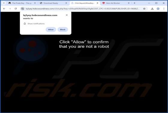 Hobcooundiness.com Ads