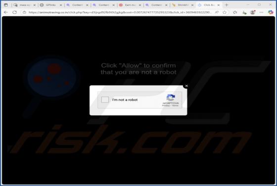 Animotraving.co.in Ads