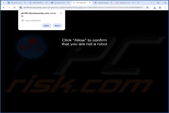 Flocoluounity.com Ads