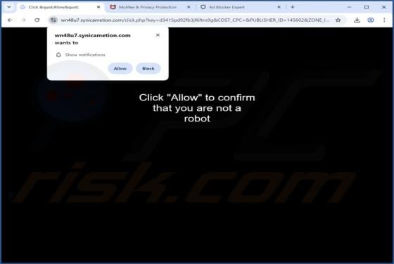 Synicametion.com Ads