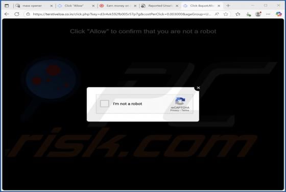 Terstiveloa.co.in Ads