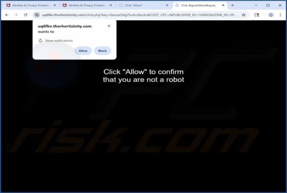 Thorhortizinity.com Ads